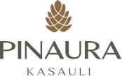 GSB Pinaura logo
